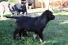 Filename=i.jpg
Filesize=148KiB
Dimensions=972x648
Date added=%303 %17, %2009 i.jpg