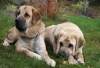 Filename=i459.jpg
Filesize=313KiB
Dimensions=640x437
Date added=%548 %03, %2007 i459.jpg