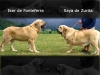 Filename=iker-saya.jpg
Filesize=62KiB
Dimensions=800x600
Date added=%832 %14, %2010 iker-saya.jpg