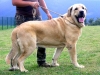Filename=iker01.jpg
Filesize=76KiB
Dimensions=800x600
Date added=%831 %14, %2010 iker01.jpg