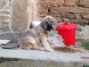 Filename=image.jpg
Filesize=814KiB
Dimensions=2048x1536
Date added=%966 %05, %2014 image.jpg