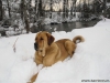 Filename=img-20141211-wa0016.jpg
Filesize=167KiB
Dimensions=1280x960
Date added=%469 %12, %2014 img-20141211-wa0016.jpg