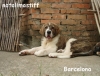 Filename=iyi_bar.JPG
Filesize=72KiB
Dimensions=608x466
Date added=%555 %25, %2010 iyi_bar.JPG