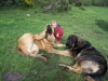 Filename=joel_alma_y_arquera_2.jpg
Filesize=697KiB
Dimensions=856x642
Date added=%927 %02, %2008 joel_alma_y_arquera_2.jpg