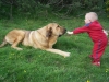 Filename=joel_y_alma.jpg
Filesize=724KiB
Dimensions=856x642
Date added=%927 %02, %2008 joel_y_alma.jpg