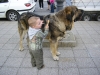 Filename=joel_y_ringo.jpg
Filesize=525KiB
Dimensions=800x600
Date added=%037 %26, %2008 joel_y_ringo.jpg