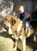 Filename=joel_y_ringo1.jpg
Filesize=429KiB
Dimensions=515x687
Date added=%613 %26, %2008 joel_y_ringo1.jpg