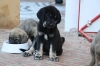 Filename=j~3.jpg
Filesize=85KiB
Dimensions=972x648
Date added=%432 %03, %2009 j~3.jpg