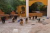 Filename=j~4.jpg
Filesize=127KiB
Dimensions=972x648
Date added=%265 %13, %2009 j~4.jpg