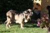 Filename=j~5.jpg
Filesize=150KiB
Dimensions=972x648
Date added=%303 %17, %2009 j~5.jpg
