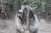 Filename=ka.jpg
Filesize=93KiB
Dimensions=972x648
Date added=%431 %03, %2009 ka.jpg
