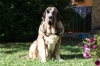 Filename=k~4.jpg
Filesize=133KiB
Dimensions=972x648
Date added=%302 %17, %2009 k~4.jpg