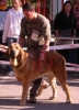 Filename=leon.jpg
Filesize=255KiB
Dimensions=1194x1656
Date added=%987 %10, %2008 leon.jpg