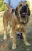 Filename=leon3~1.jpg
Filesize=136KiB
Dimensions=1000x1541
Date added=%931 %01, %2008 leon3~1.jpg