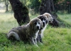 Filename=los-3-3_jpg.jpg
Filesize=213KiB
Dimensions=992x719
Date added=%895 %06, %2008 los-3-3_jpg.jpg