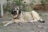 Filename=m.jpg
Filesize=144KiB
Dimensions=972x648
Date added=%268 %11, %2009 m.jpg