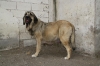 Filename=ma.jpg
Filesize=144KiB
Dimensions=972x648
Date added=%267 %11, %2009 ma.jpg
