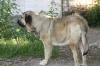 Filename=may.jpg
Filesize=138KiB
Dimensions=972x648
Date added=%266 %11, %2009 may.jpg