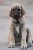 Filename=mn.jpg
Filesize=78KiB
Dimensions=648x972
Date added=%454 %19, %2009 mn.jpg