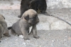 Filename=m~0.jpg
Filesize=80KiB
Dimensions=778x519
Date added=%241 %23, %2009 m~0.jpg