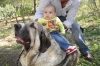Filename=n.jpg
Filesize=116KiB
Dimensions=778x519
Date added=%281 %04, %2009 n.jpg