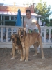 Filename=oscary_diana_y_aragon.jpg
Filesize=80KiB
Dimensions=540x720
Date added=%811 %24, %2010 oscary_diana_y_aragon.jpg