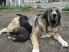 Filename=p4.JPG
Filesize=140KiB
Dimensions=768x576
Date added=%870 %17, %2008 p4.JPG