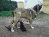 Filename=p5.JPG
Filesize=95KiB
Dimensions=768x576
Date added=%869 %17, %2008 p5.JPG
