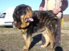 Filename=pancho.JPG
Filesize=212KiB
Dimensions=640x480
Date added=%465 %21, %2007 pancho.JPG