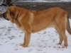 Filename=patron_standing_in_snow_looking_left.jpg
Filesize=167KiB
Dimensions=1024x768
Date added=%158 %12, %2010 patron_standing_in_snow_looking_left.jpg