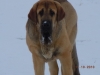 Filename=pia_with_snow_on_face.jpg
Filesize=96KiB
Dimensions=1024x768
Date added=%156 %12, %2010 pia_with_snow_on_face.jpg