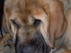 Filename=pia_wrinkles.jpg
Filesize=95KiB
Dimensions=1024x768
Date added=%987 %26, %2010 pia_wrinkles.jpg