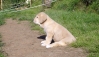 Filename=prince00.jpg
Filesize=245KiB
Dimensions=872x500
Date added=%475 %12, %2008 prince00.jpg