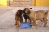 Filename=p~0.jpg
Filesize=95KiB
Dimensions=972x648
Date added=%262 %13, %2009 p~0.jpg