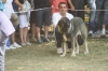 Filename=p~1.jpg
Filesize=110KiB
Dimensions=972x648
Date added=%250 %18, %2009 p~1.jpg