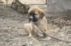 Filename=q~0.jpg
Filesize=120KiB
Dimensions=972x648
Date added=%231 %24, %2009 q~0.jpg