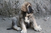 Filename=q~11.jpg
Filesize=268KiB
Dimensions=972x648
Date added=%541 %10, %2011 q~11.jpg