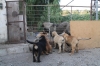 Filename=q~3.jpg
Filesize=158KiB
Dimensions=972x648
Date added=%871 %18, %2009 q~3.jpg