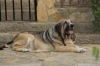 Filename=q~6.jpg
Filesize=115KiB
Dimensions=972x648
Date added=%354 %03, %2009 q~6.jpg