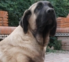 Filename=q~8.jpg
Filesize=44KiB
Dimensions=562x510
Date added=%343 %17, %2009 q~8.jpg