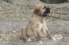 Filename=r.jpg
Filesize=132KiB
Dimensions=972x648
Date added=%233 %24, %2009 r.jpg