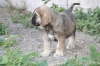 Filename=rq.jpg
Filesize=240KiB
Dimensions=972x648
Date added=%540 %10, %2011 rq.jpg
