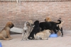 Filename=r~0.jpg
Filesize=117KiB
Dimensions=972x648
Date added=%863 %12, %2009 r~0.jpg