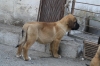 Filename=r~1.jpg
Filesize=137KiB
Dimensions=972x648
Date added=%870 %18, %2009 r~1.jpg