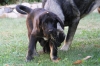 Filename=r~3.jpg
Filesize=126KiB
Dimensions=972x648
Date added=%247 %18, %2009 r~3.jpg
