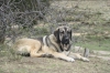 Filename=r~5.jpg
Filesize=124KiB
Dimensions=972x648
Date added=%299 %05, %2010 r~5.jpg