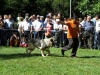 Filename=tc~0.JPG
Filesize=179KiB
Dimensions=768x576
Date added=%880 %17, %2008 tc~0.JPG