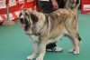 Filename=torm.jpg
Filesize=76KiB
Dimensions=778x519
Date added=%282 %04, %2009 torm.jpg