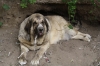 Filename=torm~0.jpg
Filesize=97KiB
Dimensions=778x519
Date added=%892 %19, %2009 torm~0.jpg