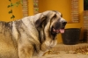 Filename=tor~2.jpg
Filesize=83KiB
Dimensions=778x519
Date added=%893 %19, %2009 tor~2.jpg